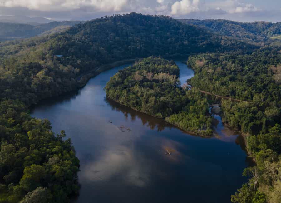 Unique Daintree Forest tours! Best Daintree experience.
